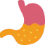 Stomach 图标 64x64