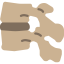 Vertebra 图标 64x64