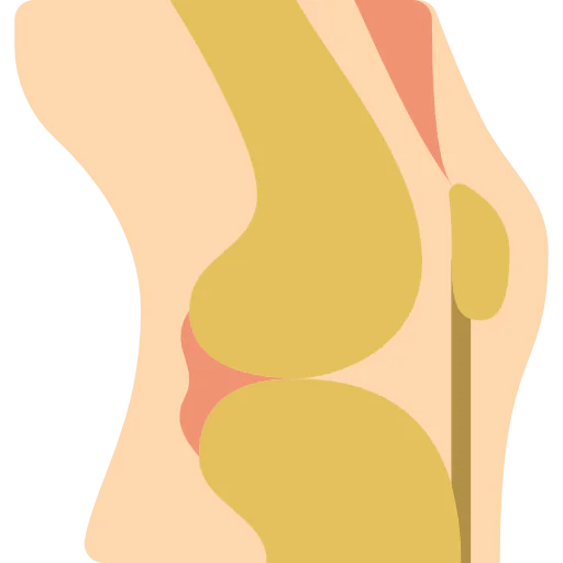 Knee icon