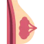 Breast 图标 64x64