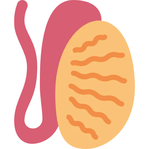 Testis 图标