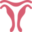 Uterus icon 64x64