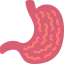 Stomach 图标 64x64