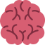 Brain 图标 64x64