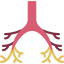 Bronchi 图标 64x64
