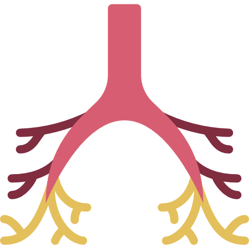 Bronchi 图标