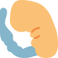 Embryo 图标 64x64
