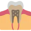 Tooth 图标 64x64