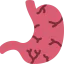 Stomach 图标 64x64