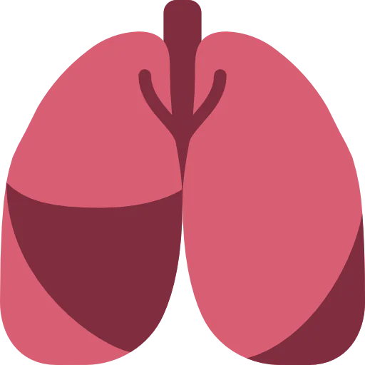 Lungs 图标