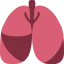Lungs 图标 64x64
