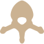 Vertebra 图标 64x64