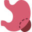 Stomach 图标 64x64