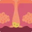 Dermis 图标 64x64