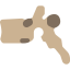 Vertebra 图标 64x64