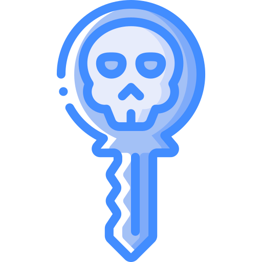 Key icon
