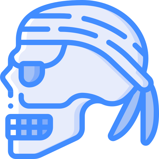 Skull icône