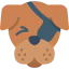 Dog icon 64x64