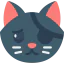 Cat icon 64x64