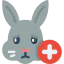 Rabbit icon 64x64