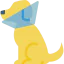 Dog icon 64x64