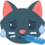 Cat icon 64x64
