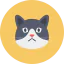 Cat face icon 64x64