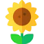 Sunflower 图标 64x64