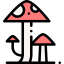 Mushroom icon 64x64
