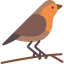 Robin Symbol 64x64