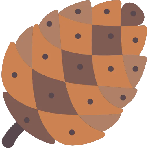 Pine cone アイコン
