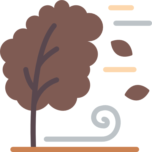 Wind icon