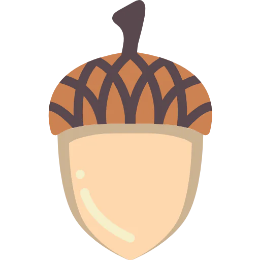 Acorn 图标