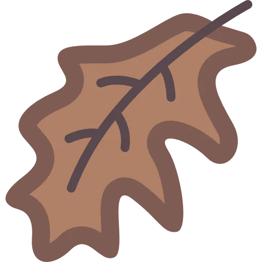 Leaf icon
