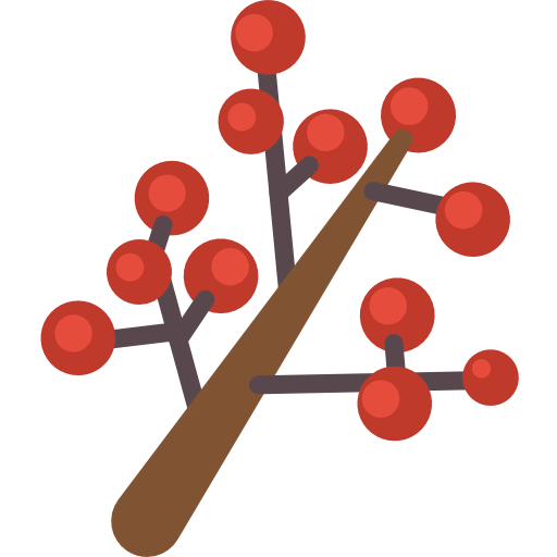 Branch 图标