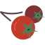 Berries Symbol 64x64