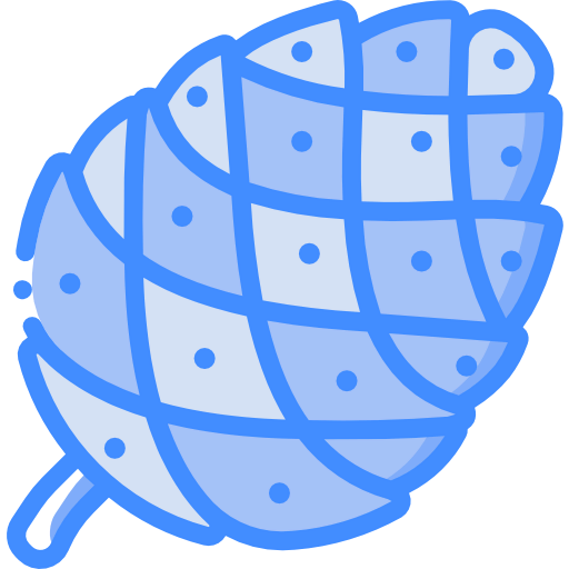 Pine cone icon