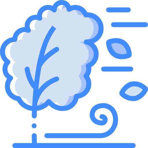 Wind 图标