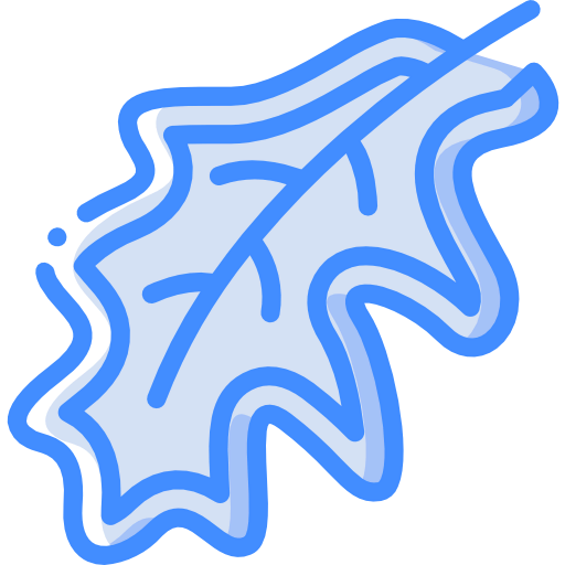 Leaf icon