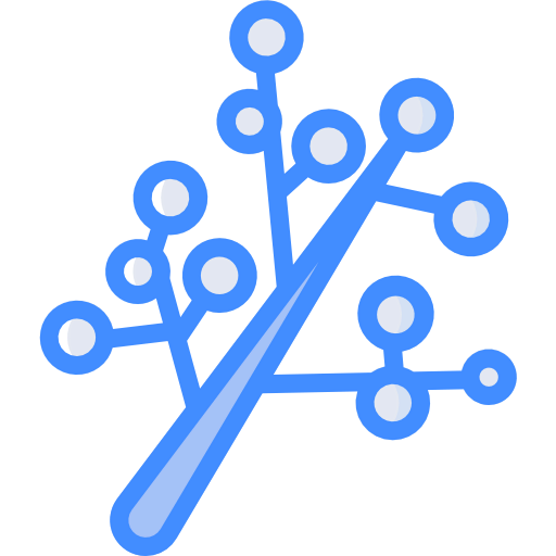 Branch 图标