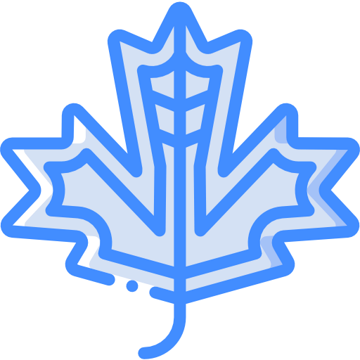 Leaf icon