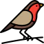 Robin アイコン 64x64