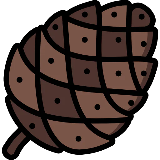 Pine cone icon