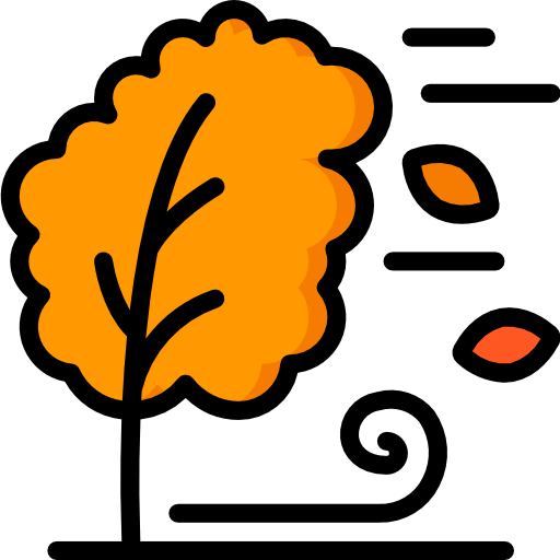 Wind icon