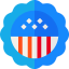 American icon 64x64