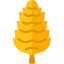 Pine cone 图标 64x64
