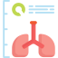 Lungs icon 64x64