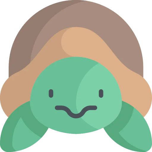 Turtle icon
