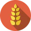 Wheat icon 64x64