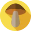 Mushroom icon 64x64